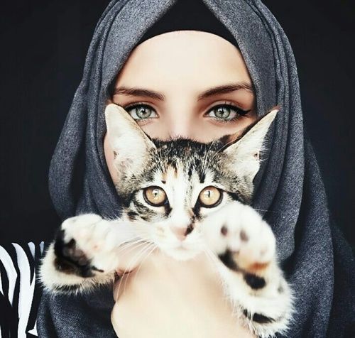 صور خلفيات بنات مع صور لقطط جميلة كيوت صور خلفيات بنات مع صور لقطط جميلة كيوت