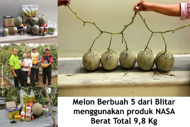 www,produknasaonline.com