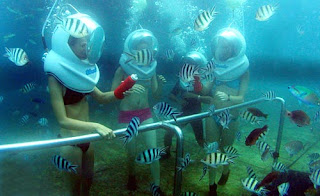 jual tiket sea walker murah bali Kami Jual tiket murah untuk Sea Walker di bali tanjung benoa Bali