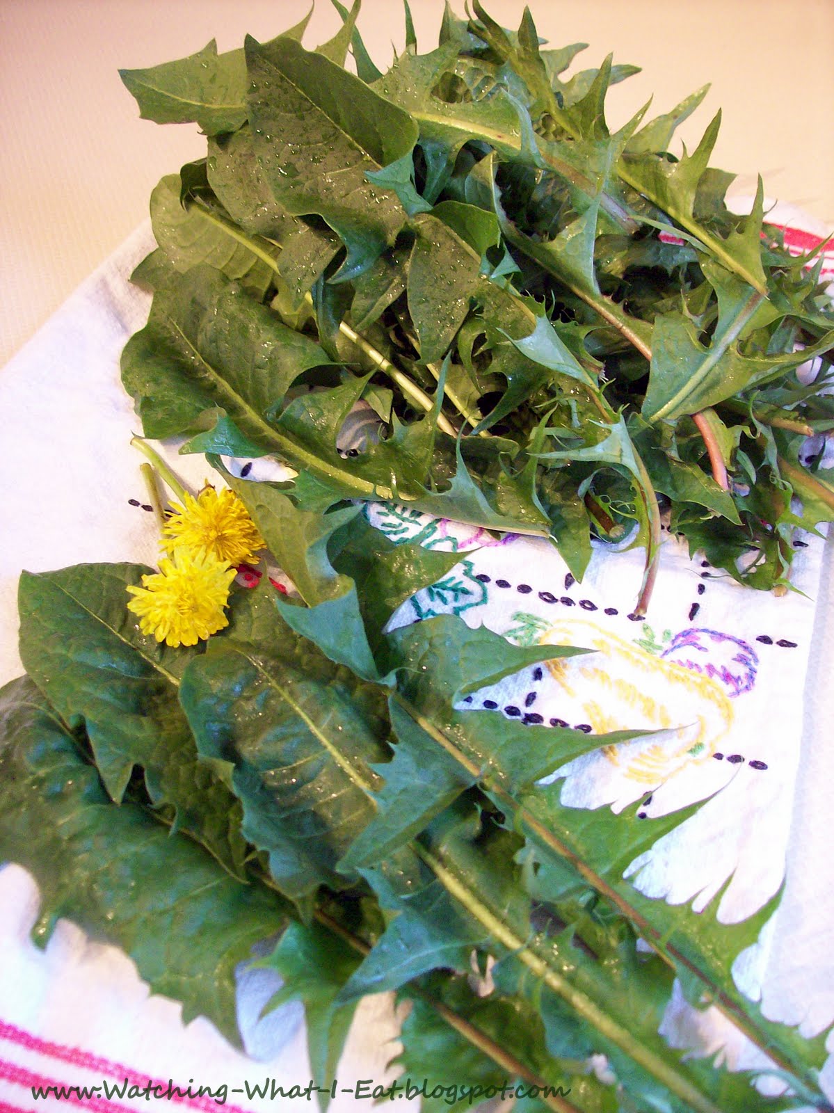 ~ using pancake & to  Fritters, make Cooking salads crepes pancakes, with crepes batter how Dandelions Eat: