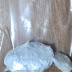 Cocaine gang destroyed in Tirana, 4 arrested