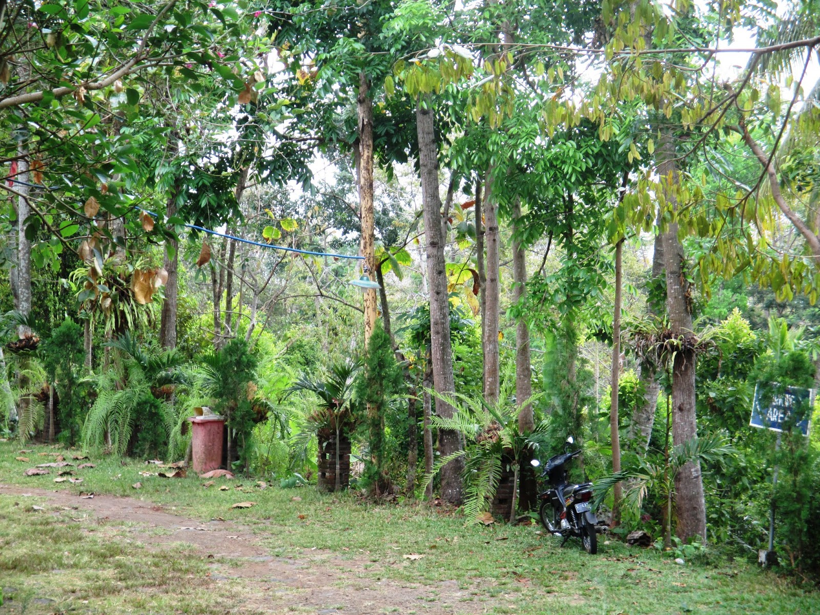 Джунгли парк сайт