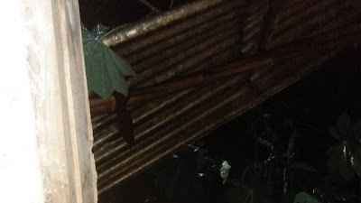 Dapur Warga Kaliglagah, Kemiri Tertimpa Longsor