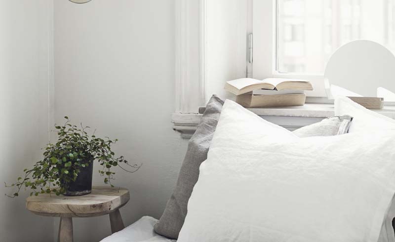Bed Pillows