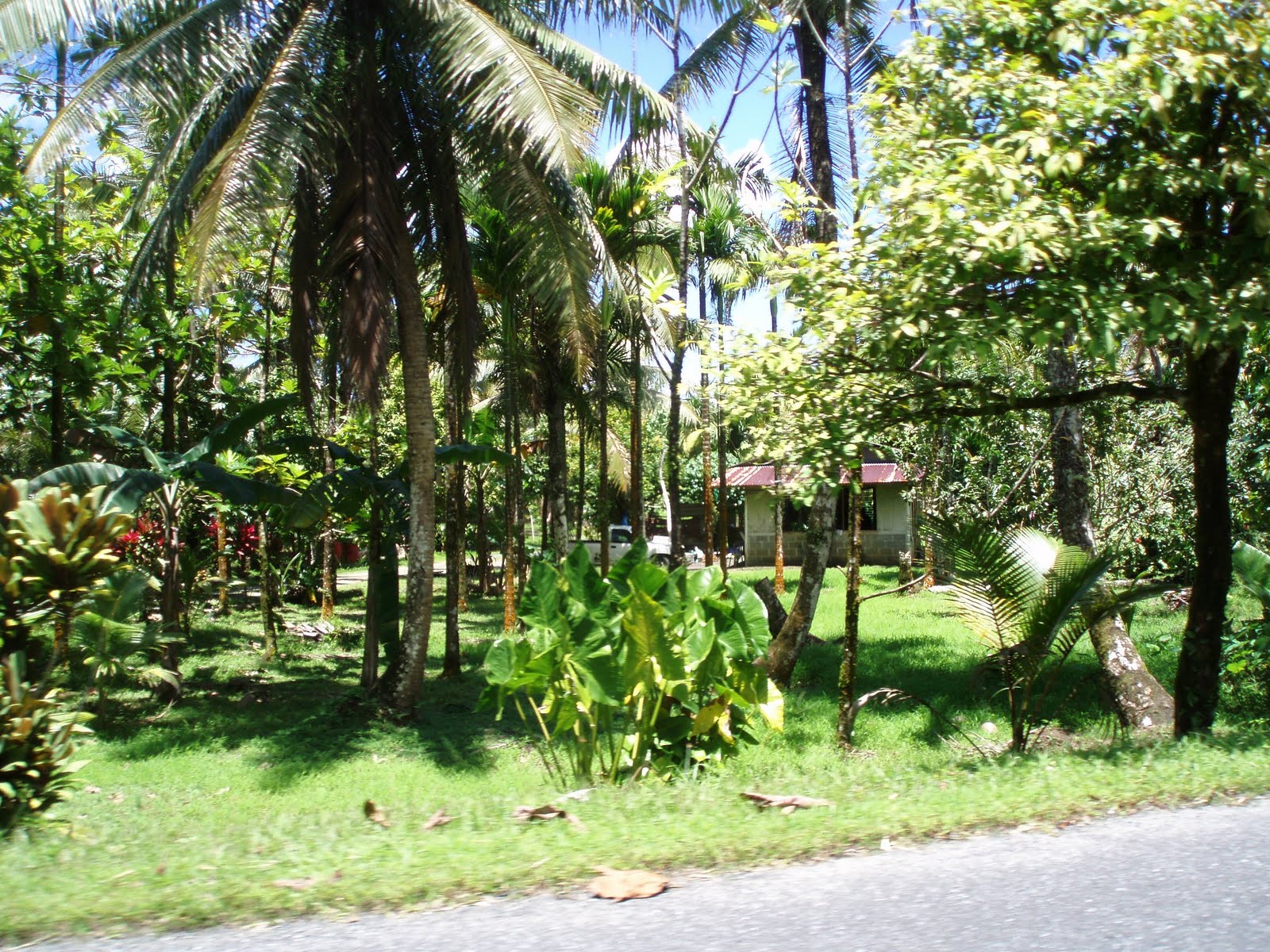 DAY IN COURT Views from MLSC islands