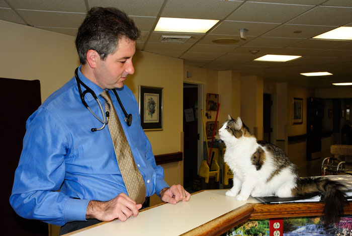Cat That predicts Death Cat That predicts Death