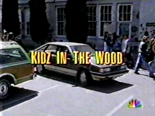 RARE AND HARD TO FIND TITLES TV and Feature Film Kidz in the Wood