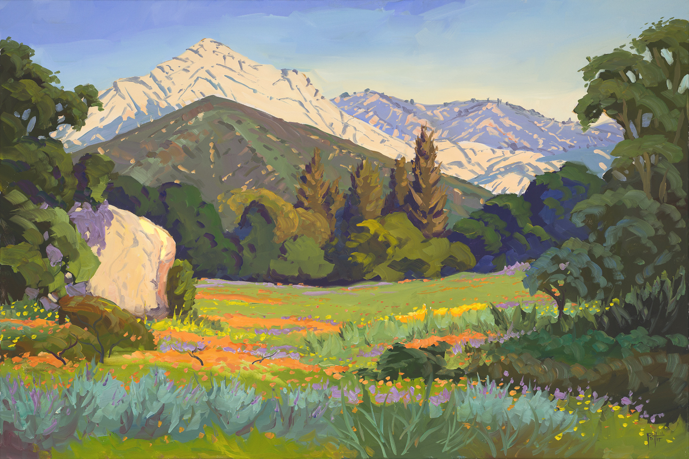 Chris Potter Prints Blooming Botanic Garden Santa Barbara