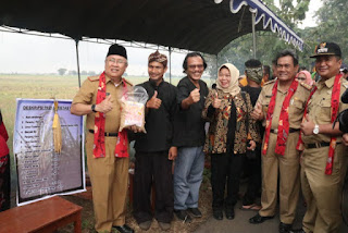 Festival Padi 2019 Gunakan 90 Pawon dan 90 Varietas Lokal, Diganjar MURI Festival Padi 2019 Gunakan 90 Pawon dan 90 Varietas Lokal, Diganjar MURI