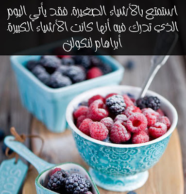 مقولات مأثورة استمتع بالاشياء الصغيرة فقد يأتى اليوم الذى تدرك فيه أنها كانت الاشياء الكبيرة