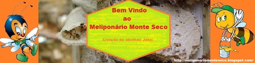 Meliponário Monte Seco