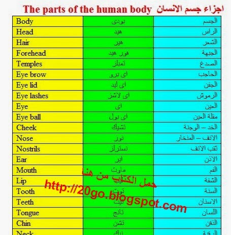 رد: اصابع اليد باللغه الانجليزيه مسميات اصابع اليد باللغه الانجليزيه