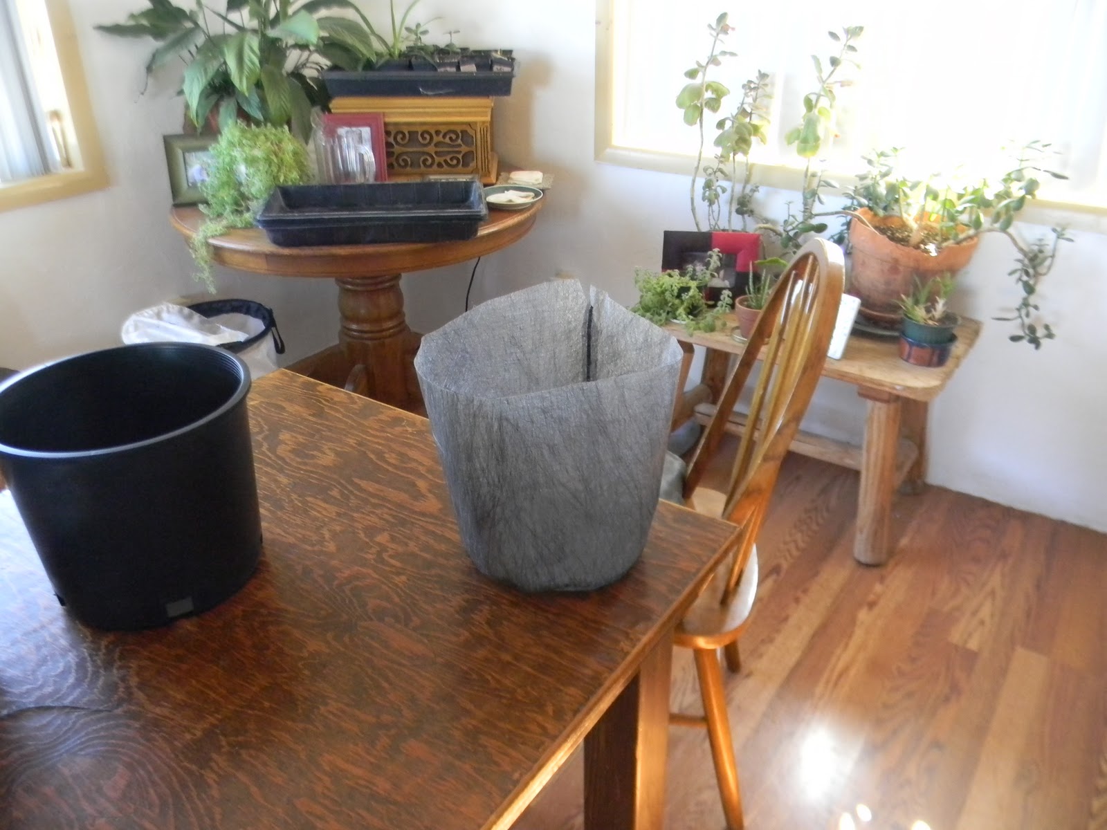 Faineant Farms DIY Air Pruning Pots