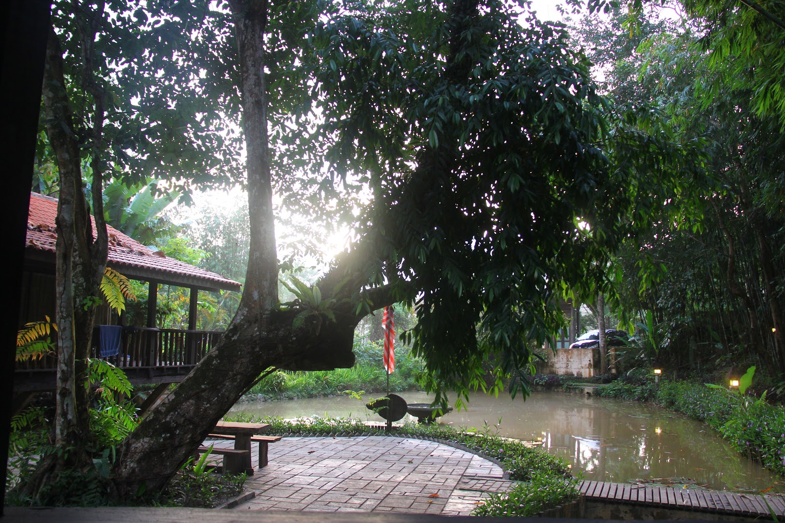 Pemandangan dari balkoni Pemandangan dari balkoni