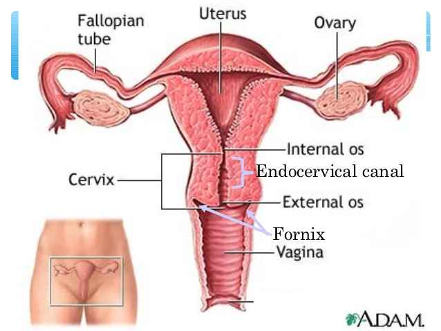 facts about men who use porn date asian girls in yor area