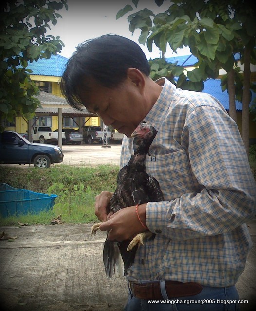 My Image 45