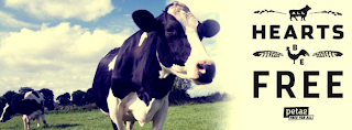 cow-cover-photo-610x224.png