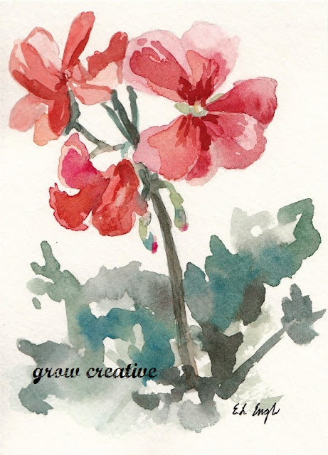watercolor geranium flowers
