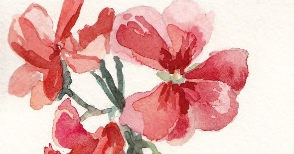Elise Engh Studios: Watercolor Geraniums