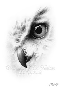 01-Owl-Portrait-Zindy-Nielsen-Fantasy-Animals-Meet-Realistic-Ones-www-designstack-co