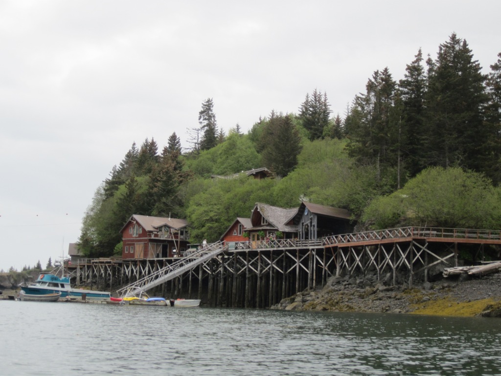 each day an adventure in alaska halibut cove...act three