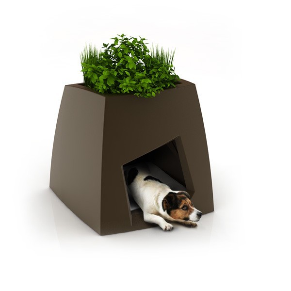 pet house and planter