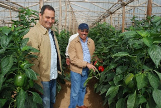 Ministro de Agricultura anuncia inversión de 4 mil millones en la caficultura en seis años. 