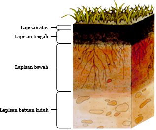 IPA struktur tanah 