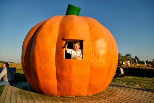 6 Amazing Pumpkin Houses!