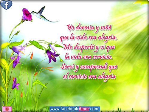 Las Mejores Frases Para Publicar En Fb Frases Para La Vida Yo