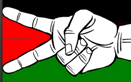 Palestine solidarity
