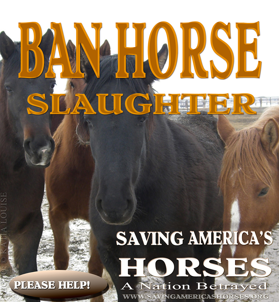 Wild for Life Foundation A Wink and Nod Help Save the Devil's Garden