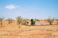 Niger-Agadez Tahoua 1