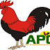 Anambra senatorial rerun: Umeh picks holes in court judgement