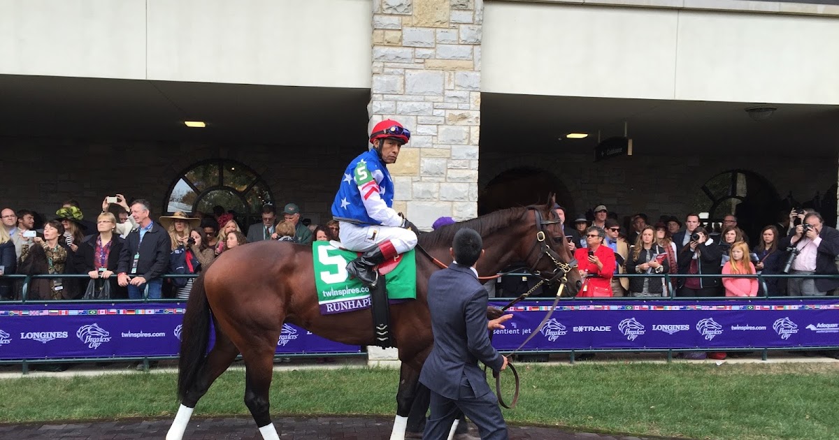 A Veterinarian's Take RunHappy... Horse Racing in America