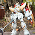 Altron Gundam Royal Guard Use  1/144 Scale High Grade by Sophie.