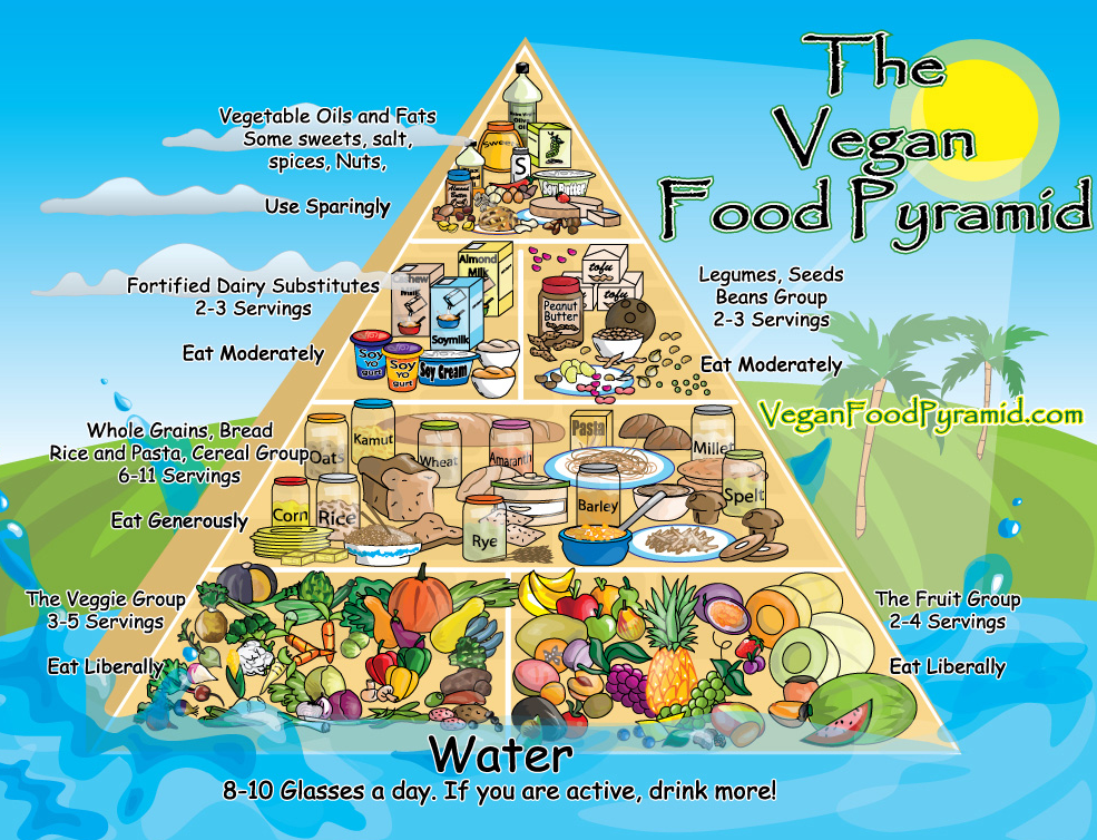 MYP I Grade 6 Science Blog: Food Pyramids