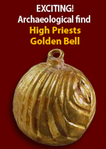 Exciting Archaeological Find - High Priests Golden Bell.