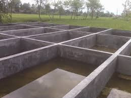 cara memelihara ikan nila di kolam beton