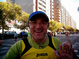 Marato de Valencia 2013