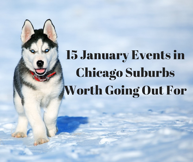 15 January Events in the Chicago Suburbs Worth Going Out For