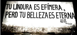 Dulce Noche #3 - El poder de la belleza - Dulce Noche #3 - El poder de la belleza -