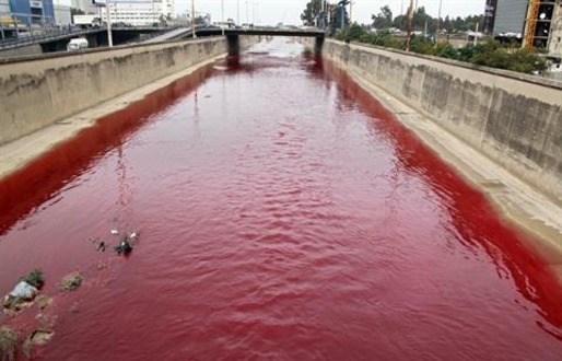 Río de Beirut se vuelve color rojo sangre‎