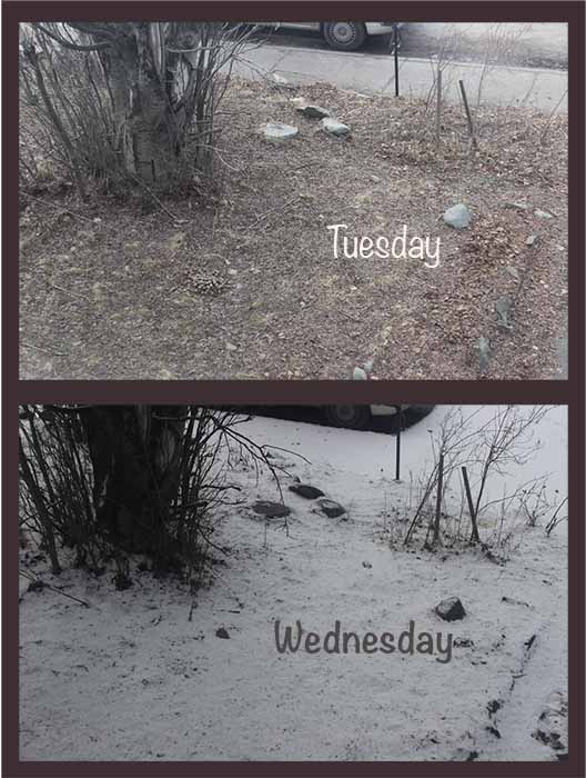 Winter Isnt Over Till Its Over >> What Do I Know Winter Isn T Over Until It S Over But This Snow Is Winter Isnt Over Till Its Over >> What Do I Know Winter Isn T Over Until It S Over But This Snow Is