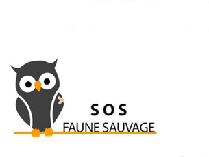 SOS Faune Sauvage