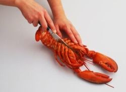 Cara Memasak Lobster yang Masih Hidup