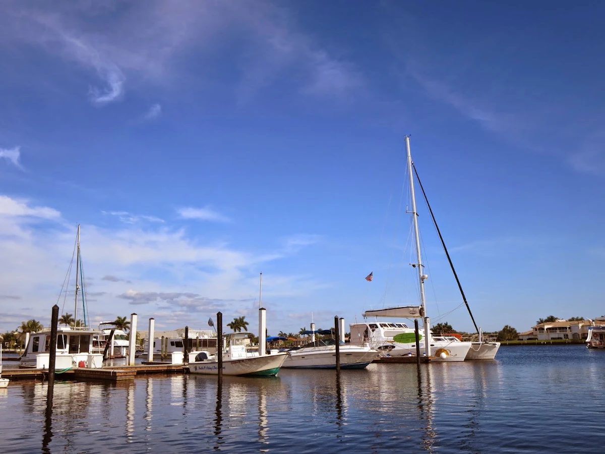 Where to see manatees in Florida: Port of the Islands Marina in Naples