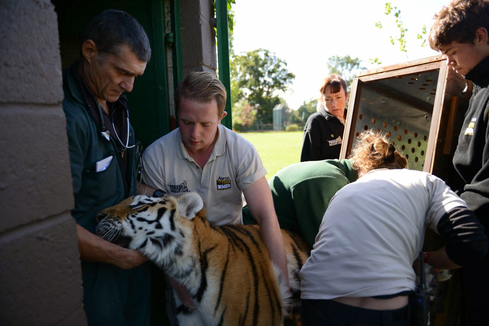Paradise Zoo News How much does it cost to run a zoo?