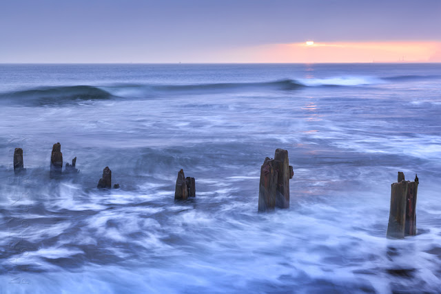 Beach groynes in the morning sun at Sandsend by Martyn Ferry Photography