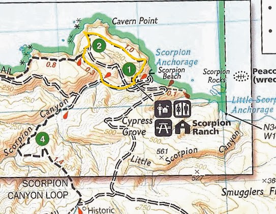 Mamma Quail Hiking California : More Treasures of Santa Cruz Island (Day 2)